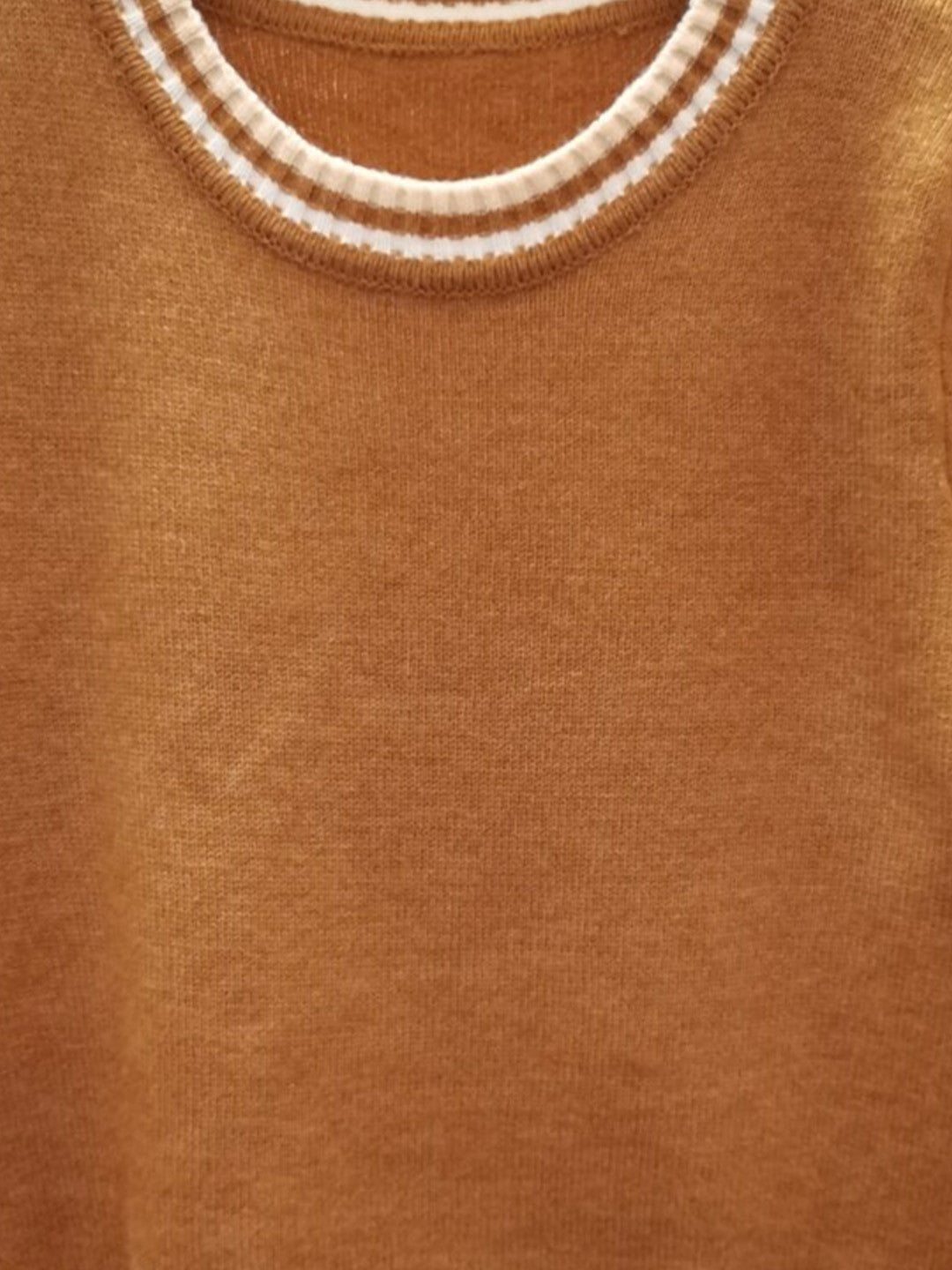 Brown Round Neck Long Sleeves Solid Regular Sleeves Acrylic Top