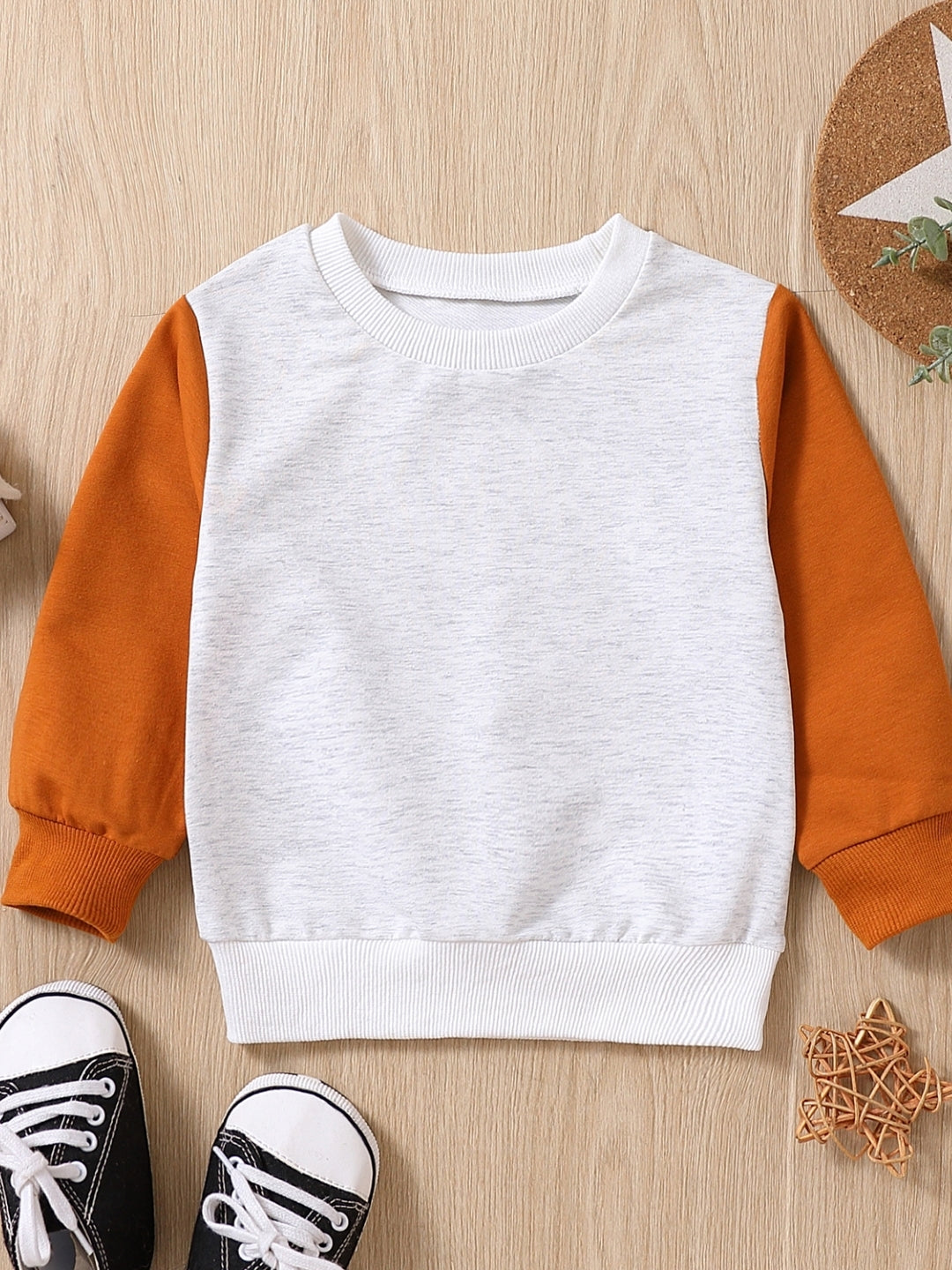 Brown Round Neck Long Sleeves Colourblocked Cotton Sweatshirt