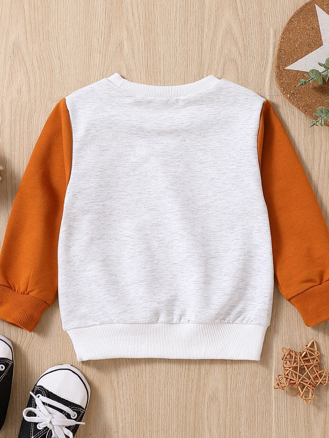 Brown Round Neck Long Sleeves Colourblocked Cotton Sweatshirt