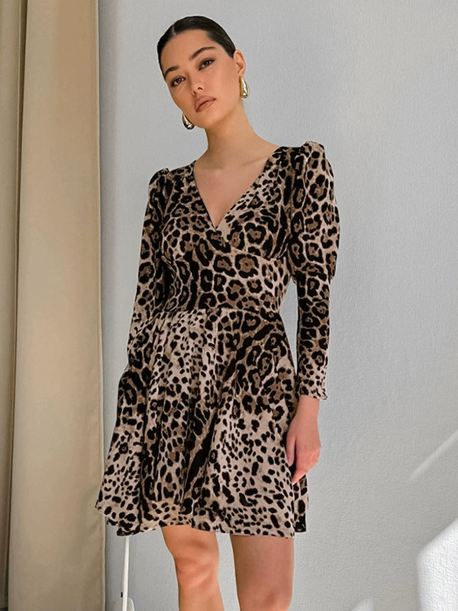 Leopard Print V-Neck Mini Dress