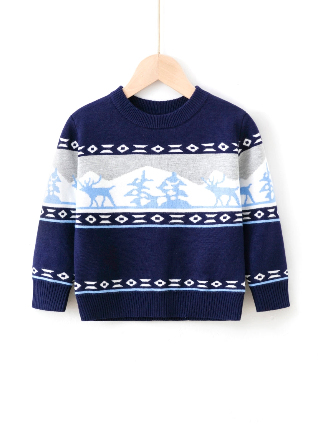 Blue Round Neck Printed Long Sleeves Casual Pullover Viscose Rayon Sweater