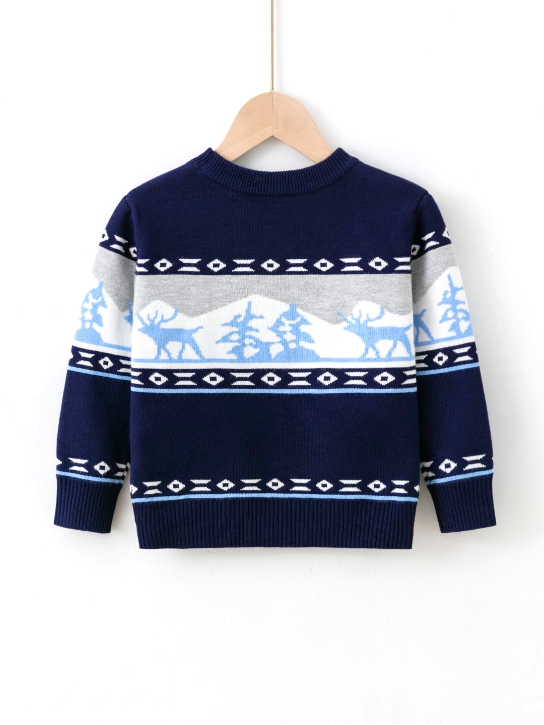 Blue Round Neck Printed Long Sleeves Casual Pullover Viscose Rayon Sweater