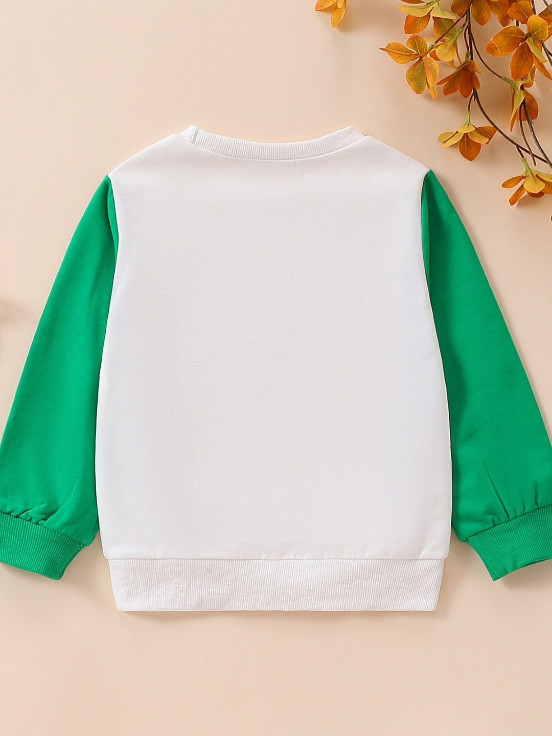 Green Round Neck Long Sleeves Printed Cotton Sweatshirt